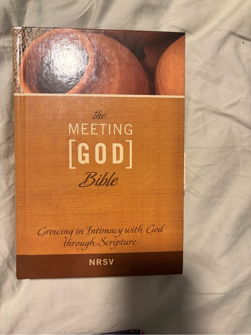 The Meeting [GOD] Bible - NRSV Edition